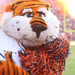 Meet your Posher, Lona